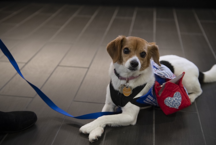 카지노사이트 - 2025년 최고의 온라인 카지노 사이트