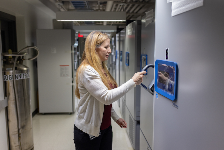 카지노사이트 - 2025년 최고의 온라인 카지노 사이트