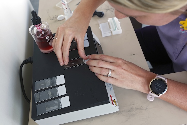 현미경 슬라이드에서 꽃가루 샘플을 보는 제시카 헤스