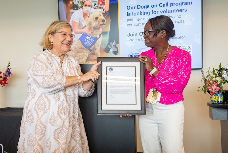 카지노사이트 - 2025년 최고의 온라인 카지노 사이트