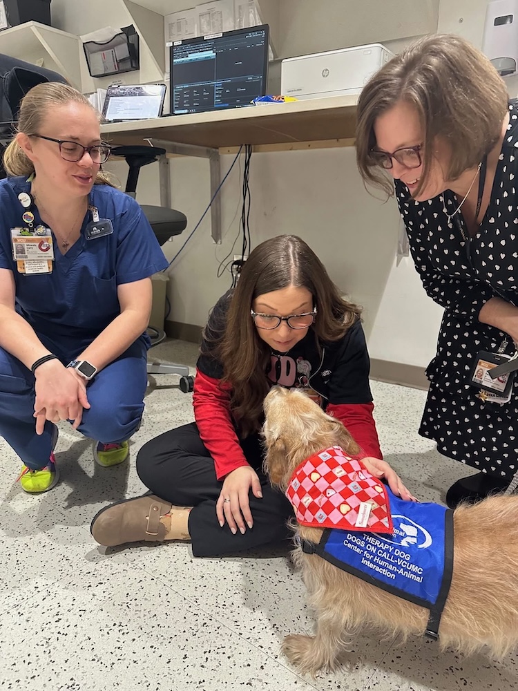 병원 직원은 카지노사이트 Dogs on Call 카지노사이트 프로그램의 일환으로 카지노사이트견과 상호 작용합니다.