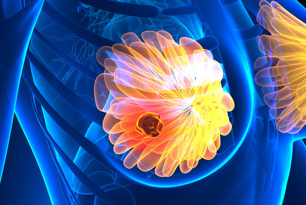 카지노사이트 - 2025년 최고의 온라인 카지노 사이트