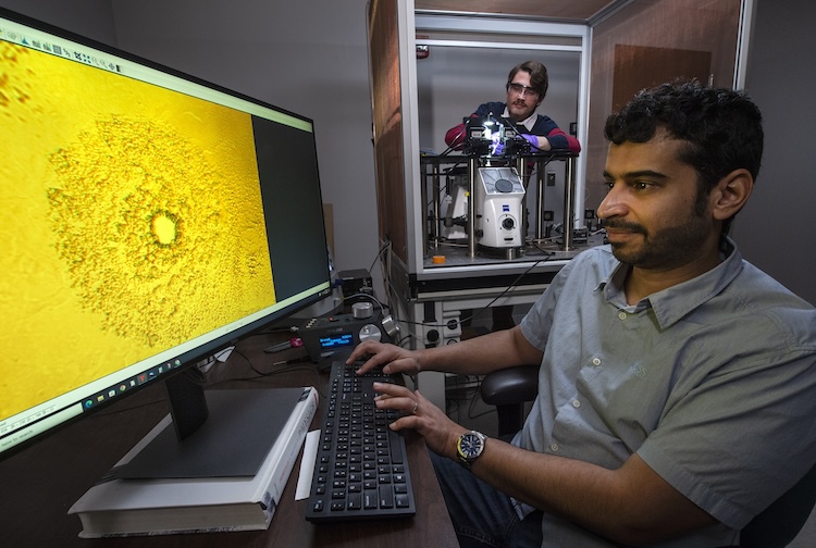 카지노사이트 - 2025년 최고의 온라인 카지노 사이트