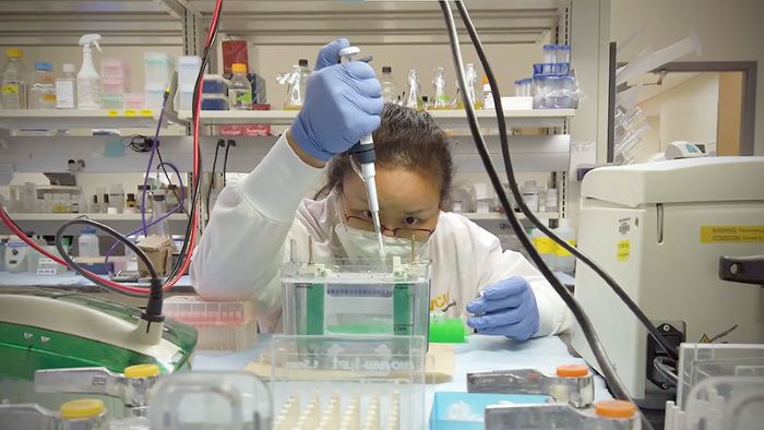 치과 연구실에서 근무하는 연구원