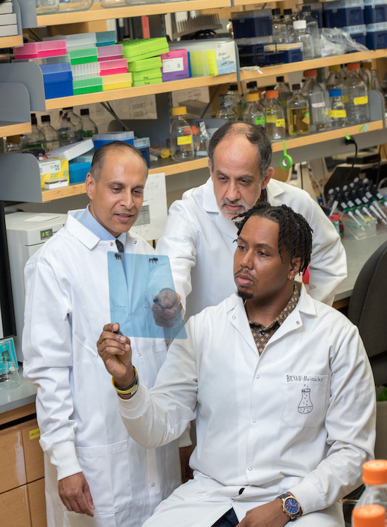 연구실에서 문서를 보고 있는 연구원들.