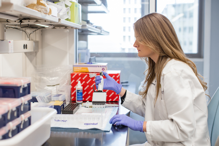 카지노사이트 - 2025년 최고의 온라인 카지노 사이트