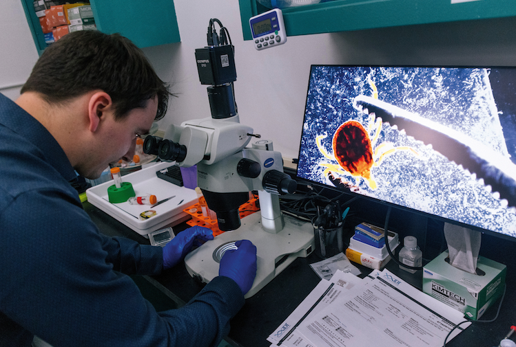 현미경을 통해 진드기를 검사하는 남자