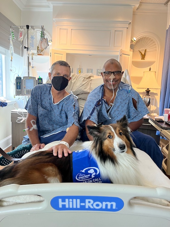 카지노사이트 호출 카지노사이트견 중 한 마리 옆에 병원 가운을 입고 서 있는 두 남자.