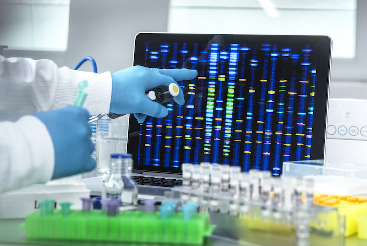 카지노사이트 - 2025년 최고의 온라인 카지노 사이트