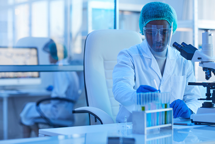 카지노사이트 - 2025년 최고의 온라인 카지노 사이트