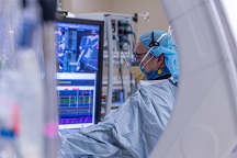 박사. 모니터에서 영상 정보를 보는 Ellenbogen