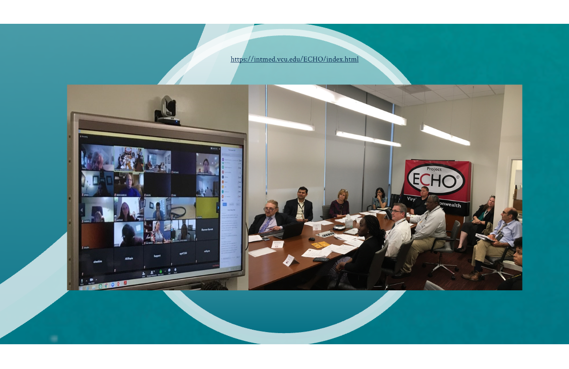 버지니아 오피오이드 ECHO 참가자