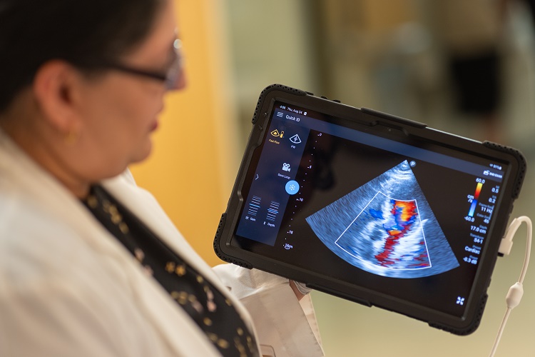 카지노사이트 - 2025년 최고의 온라인 카지노 사이트