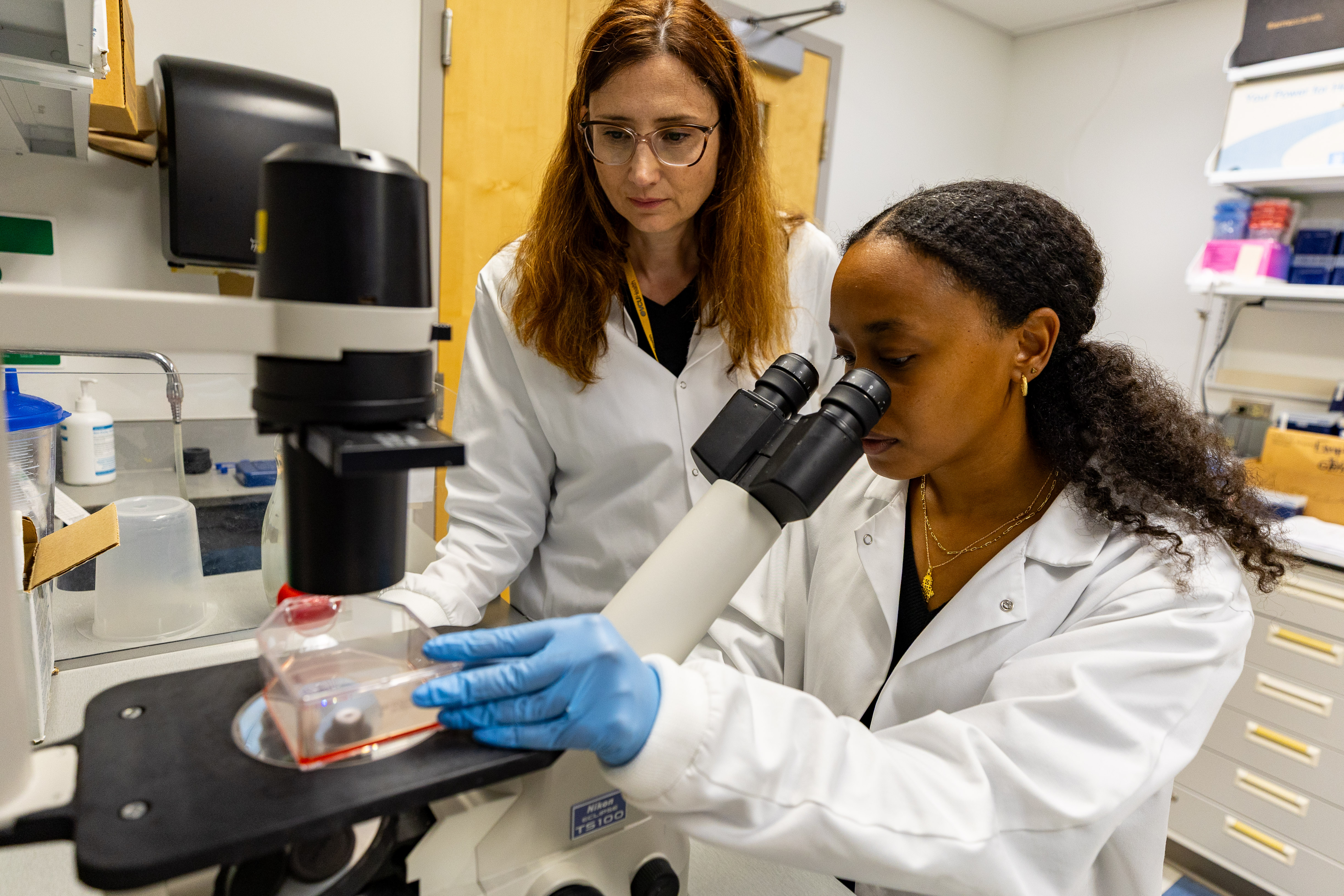 카지노사이트 - 2025년 최고의 온라인 카지노 사이트