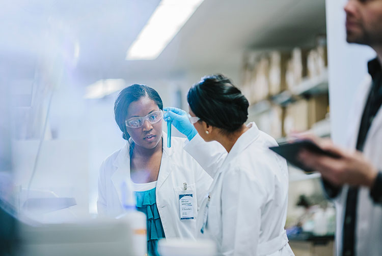 카지노사이트 - 2025년 최고의 온라인 카지노 사이트