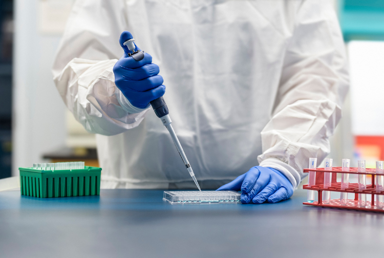 카지노사이트 - 2025년 최고의 온라인 카지노 사이트