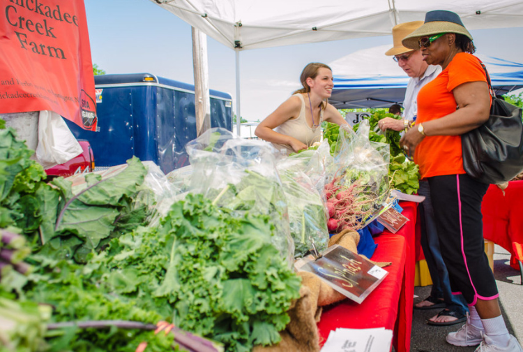 카지노사이트 - 2025년 최고의 온라인 카지노 사이트