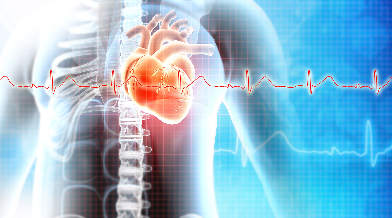 카지노사이트 - 2025년 최고의 온라인 카지노 사이트