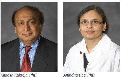 카지노사이트 - 2025년 최고의 온라인 카지노 사이트