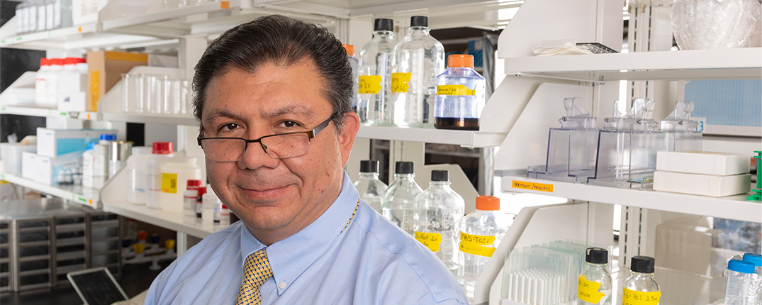 카지노사이트 - 2025년 최고의 온라인 카지노 사이트